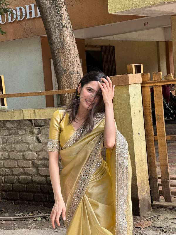 Soft Tissue Organza Sarees BM20